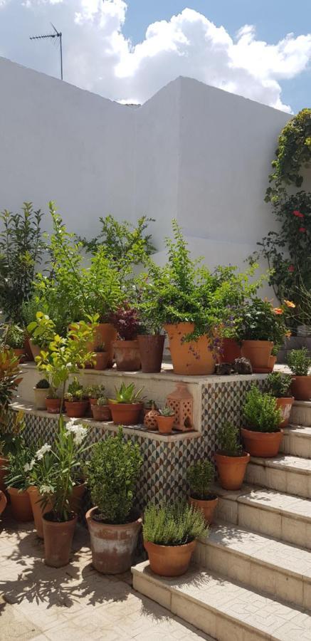 Casa Rural Los Danzantes Fuente-Tojar Dış mekan fotoğraf