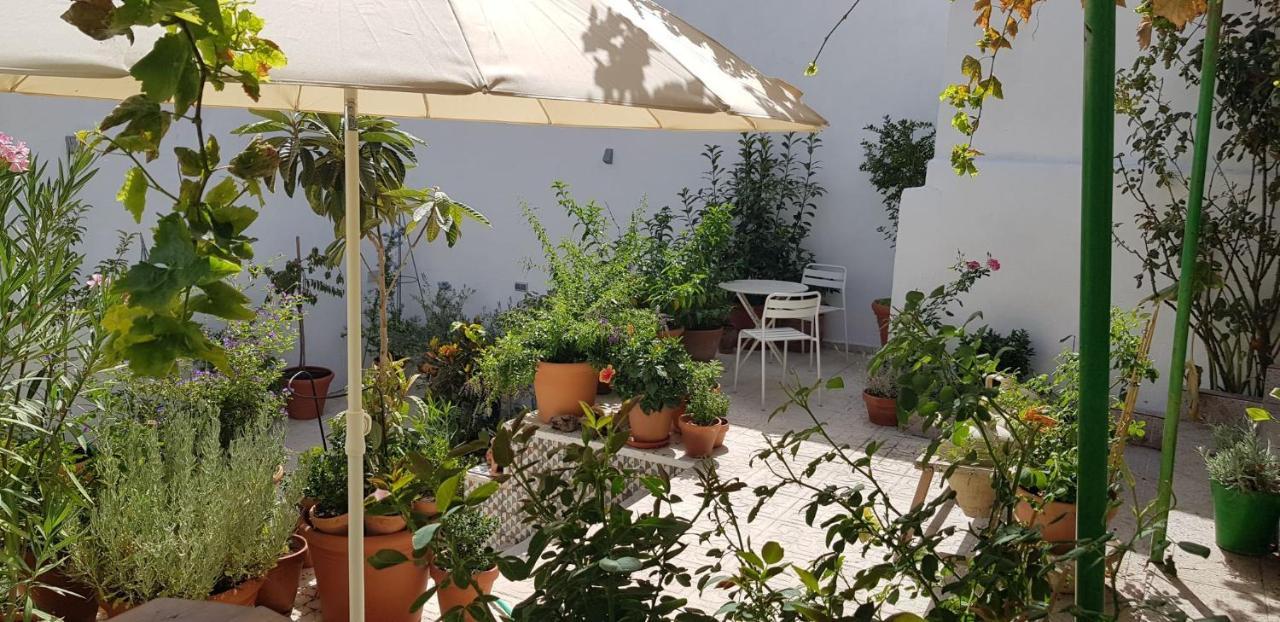 Casa Rural Los Danzantes Fuente-Tojar Dış mekan fotoğraf