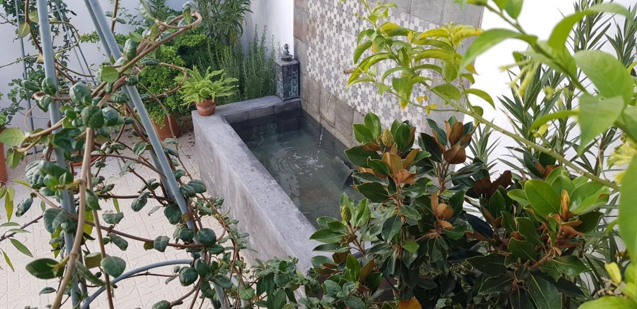 Casa Rural Los Danzantes Fuente-Tojar Dış mekan fotoğraf