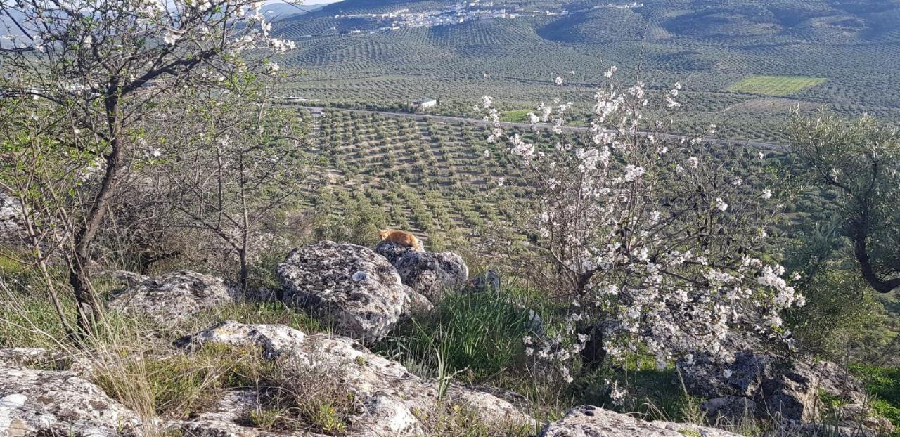 Casa Rural Los Danzantes Fuente-Tojar Dış mekan fotoğraf